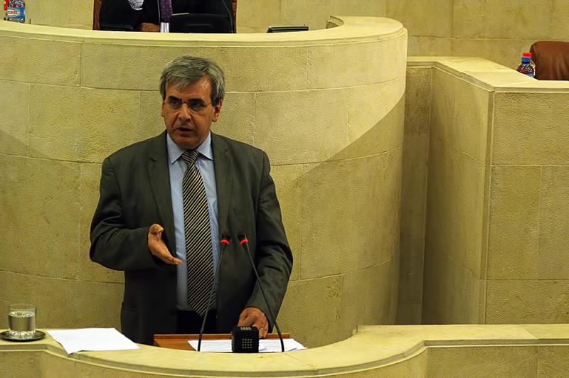 Rafael de la Sierra interviene ante el Pleno del Parlamento