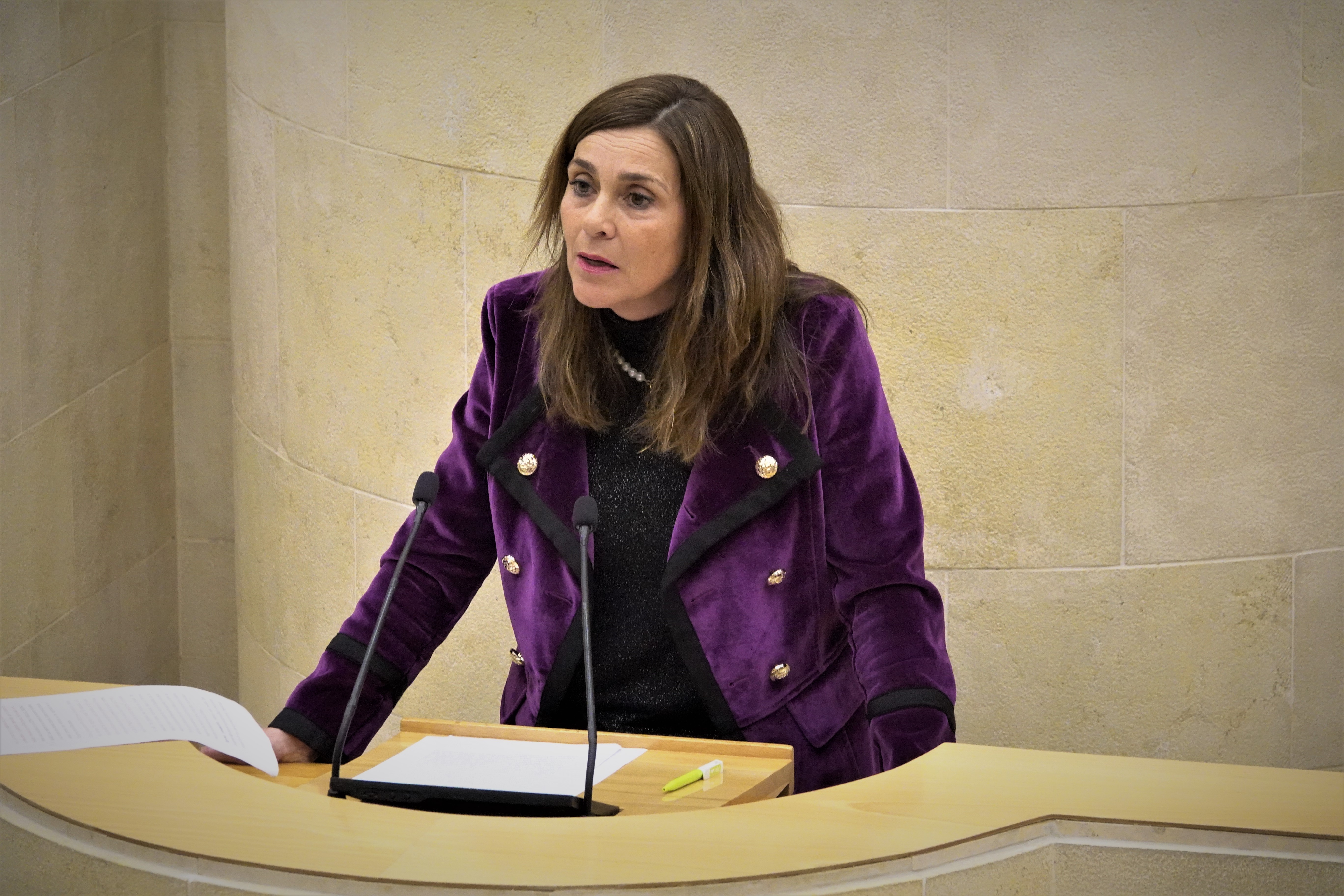 La diputada del PRC Paula Fernández