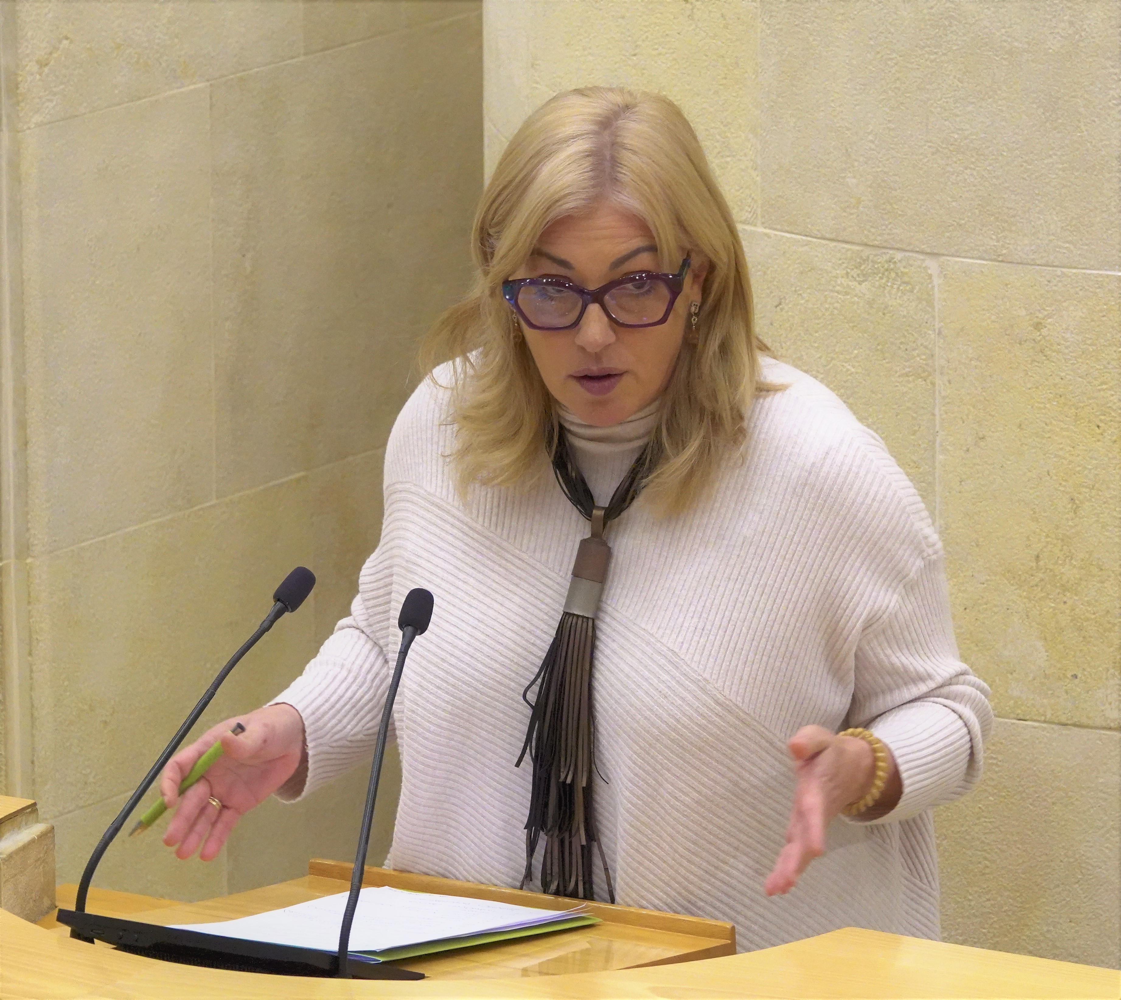El PRC urge mejoras organizativas para garantizar la resolución del reconocimiento de discapacidad en 3 meses y la concesión de plazas residenciales en 2