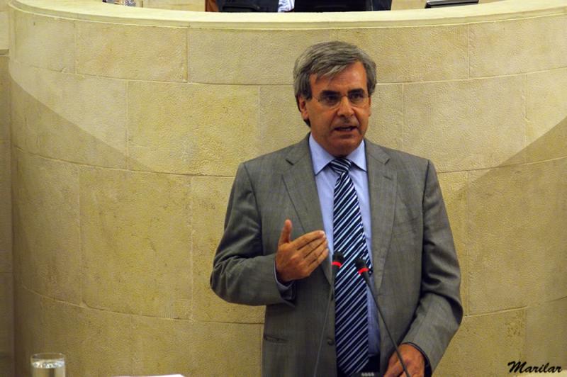 Rafael de la Sierra durante su intervenci?n