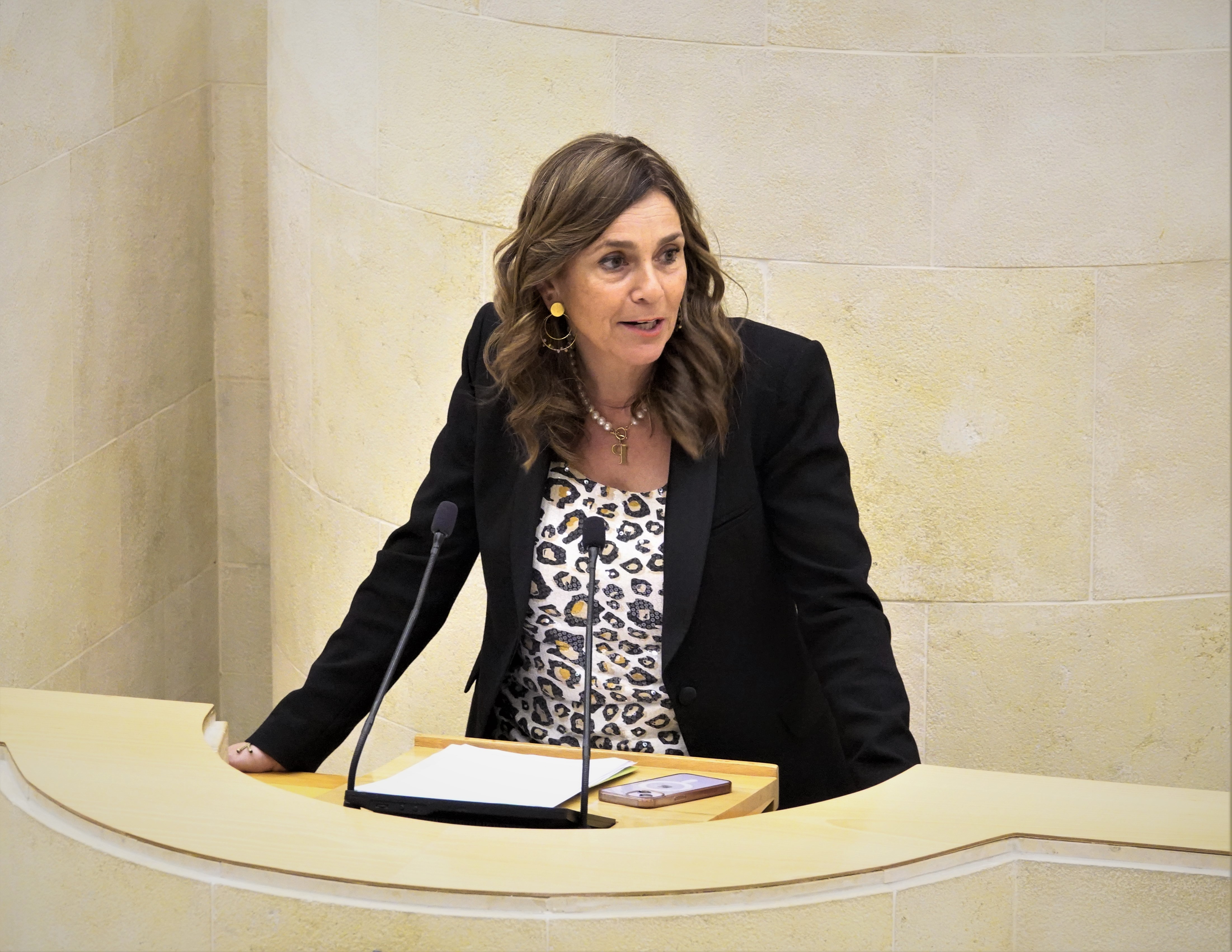 La diputada del PRC Paula Fernández
