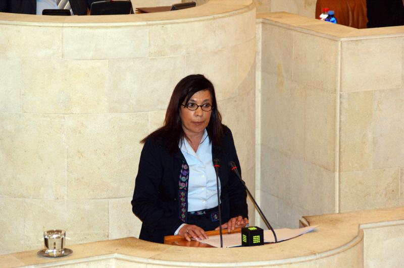 Matilde Ruiz interviene ante el Pleno del Parlamento