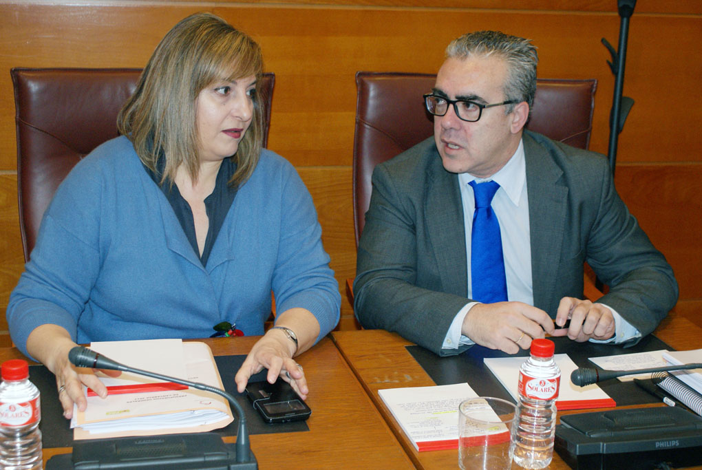Pedro Hernando junto a Rosa Valdés durante la comparecencia del consejero de Economía.