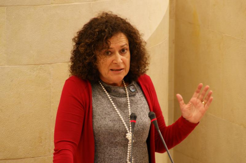 La diputada Mar?a Teresa Noceda durante su intervenci?n en el Pleno del Parlamento