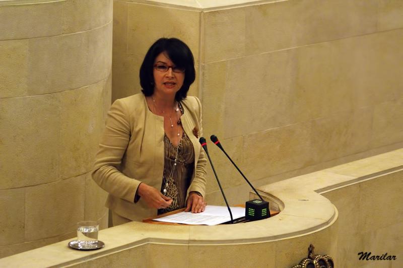 Eva Bartolom? en la tribuna del Pleno del Parlamento