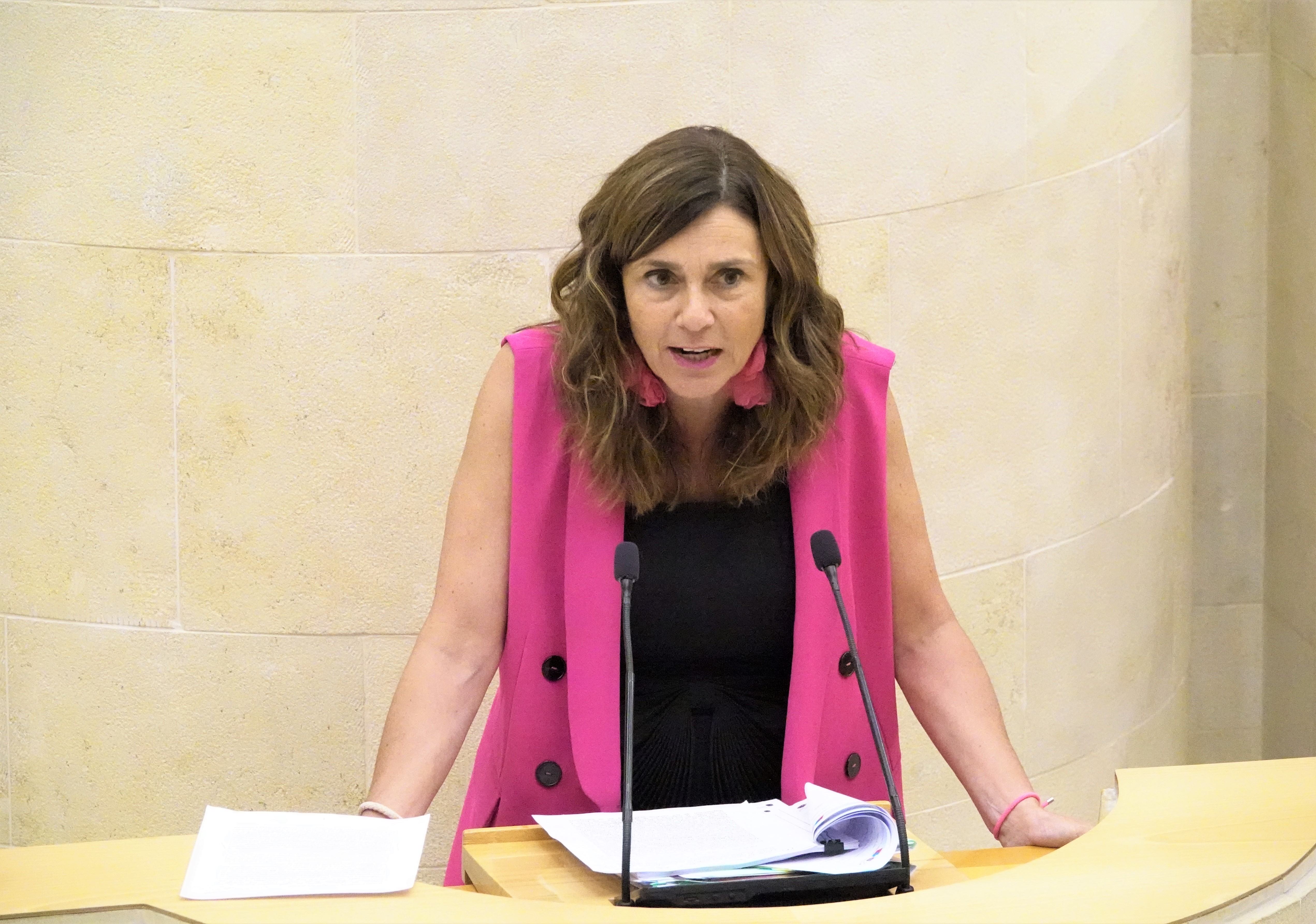 La diputada del PRC Paula Fernández