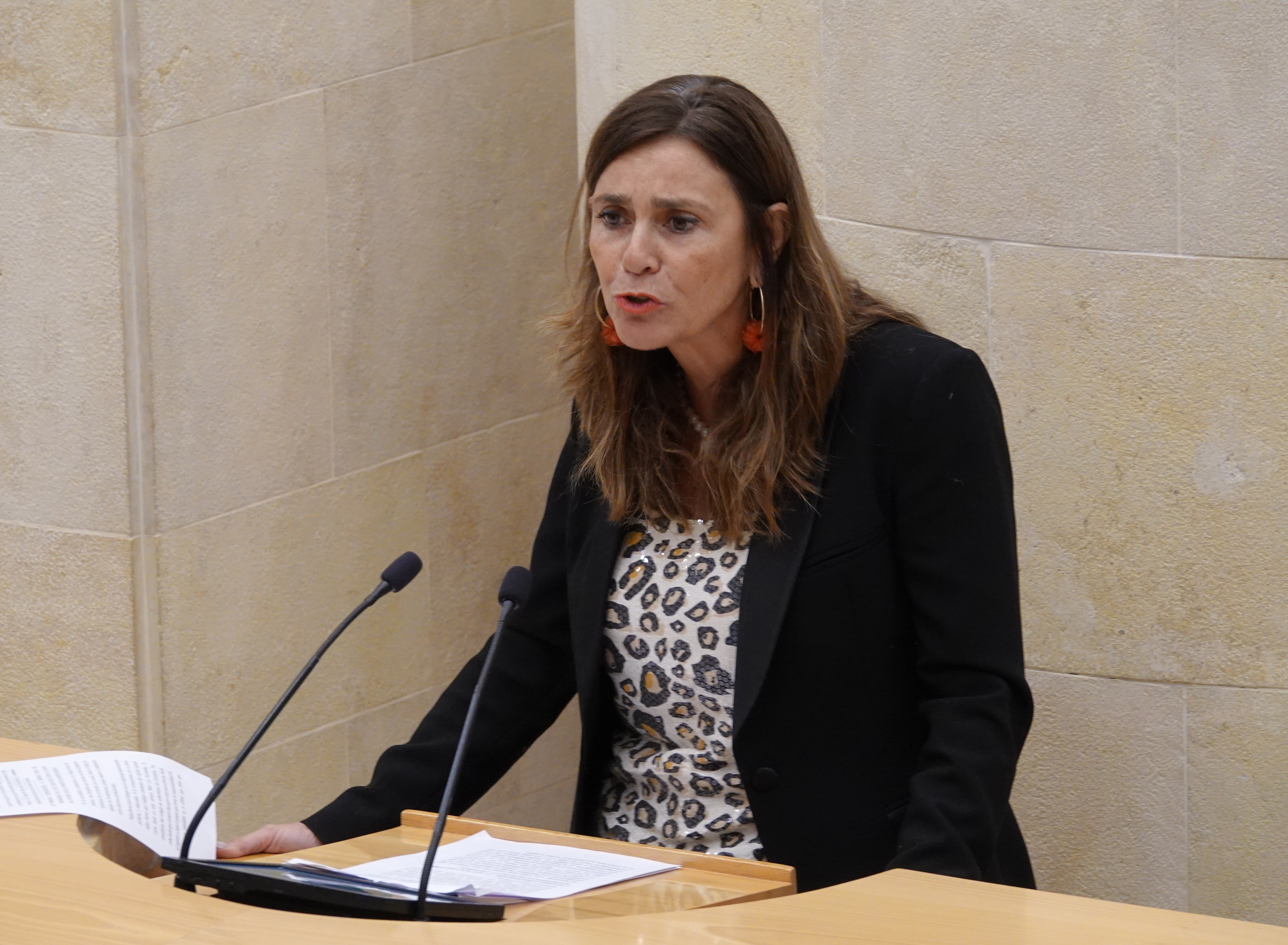 La diputada regionalista Paula Fernández