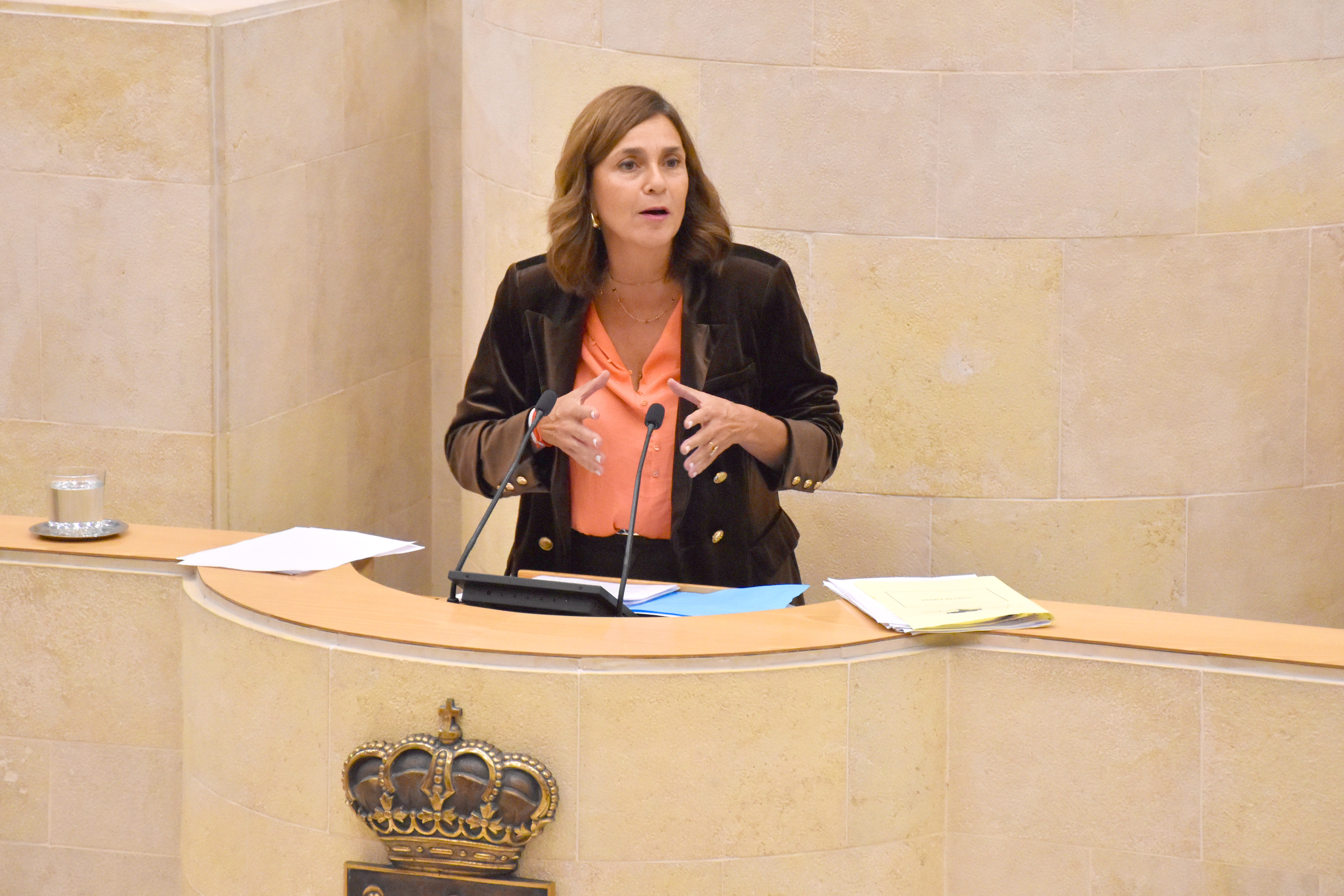 La candidata del PRC a la Presidencia de Cantabria, Paula Fernández Viaña, interviene en el Parlamento de Cantabria.