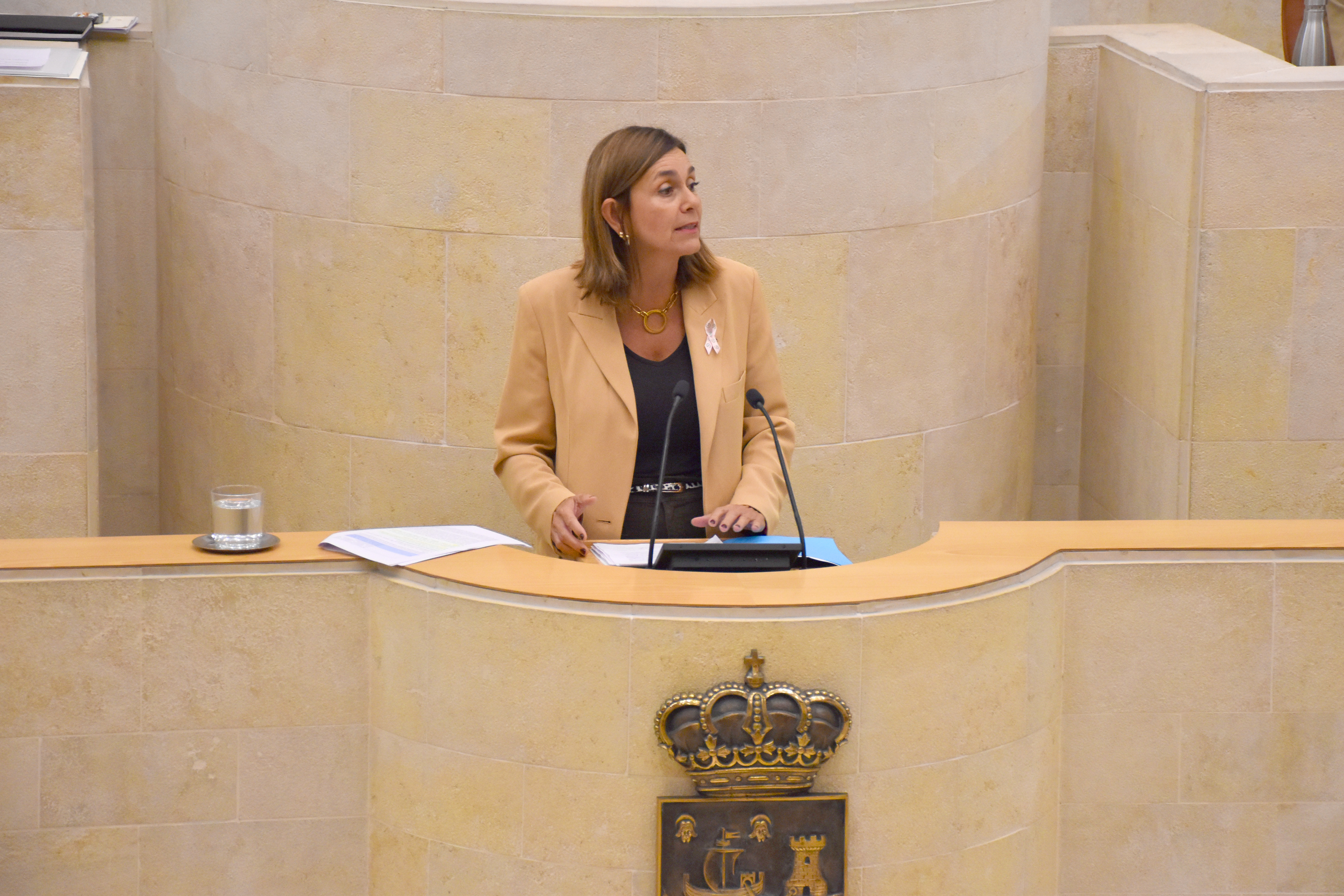 La candidata del PRC a la Presidencia de Cantabria, Paula Fernández Viaña, en el hemiciclo.