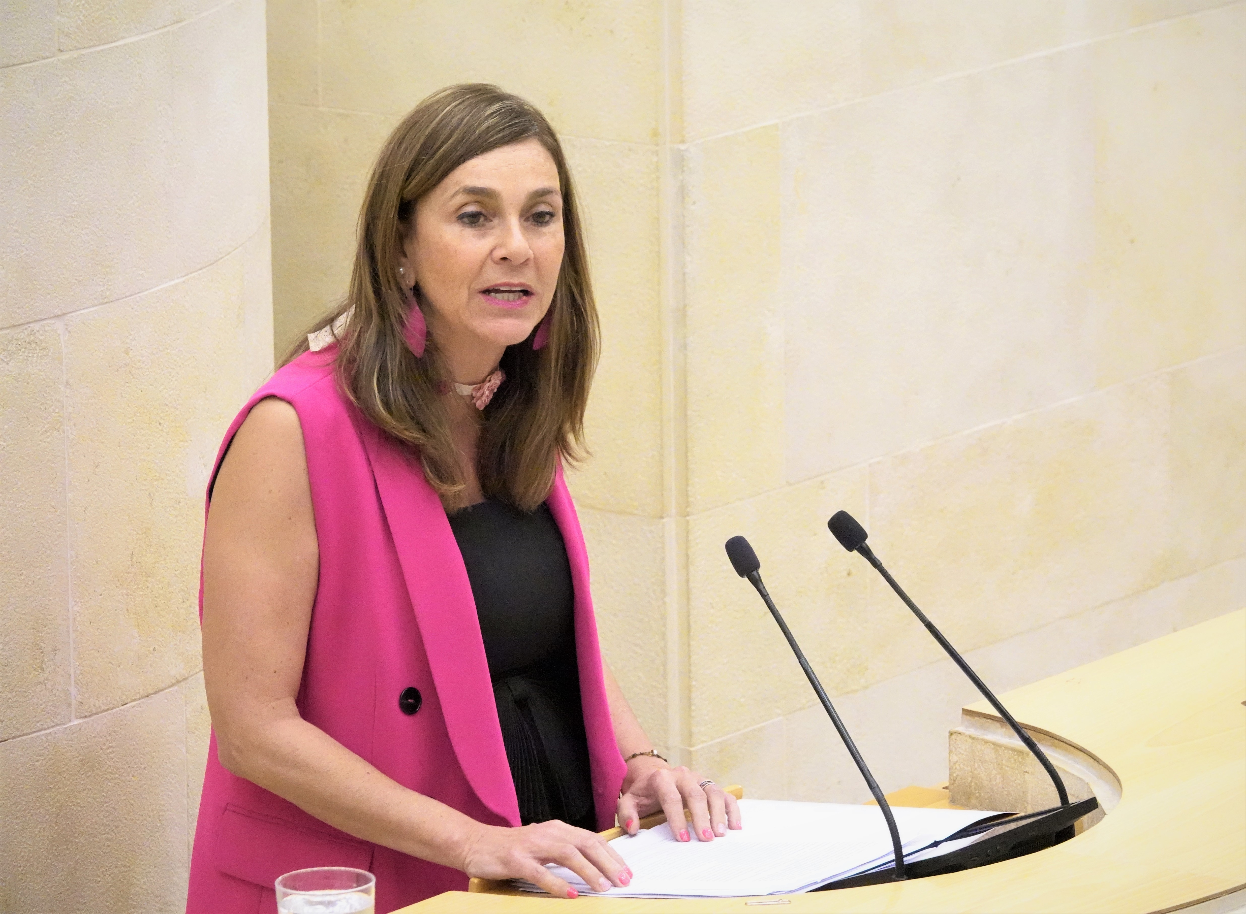 La diputada del PRC Paula Fernández