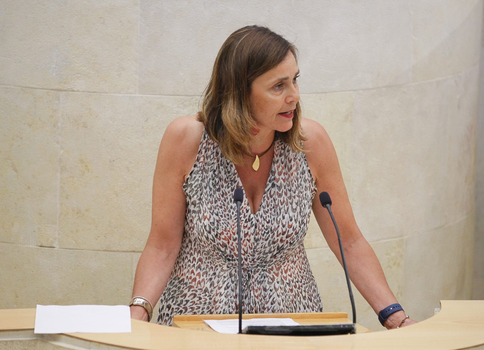 La diputada regionalista Paula Fernández