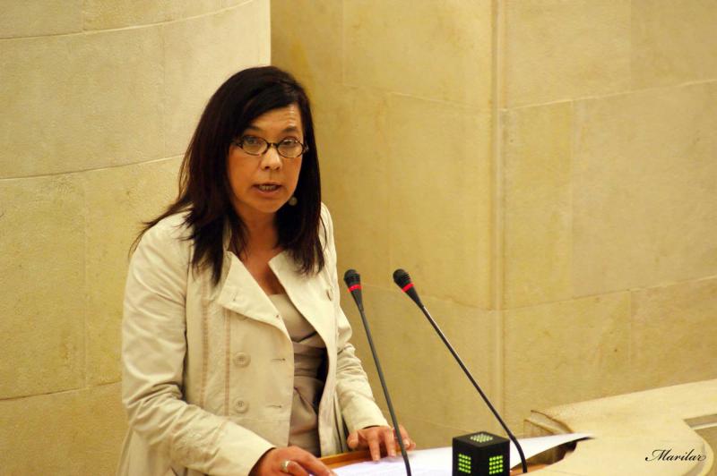 La diputada Matilde Ruiz durante su intervenci?n en el Pleno