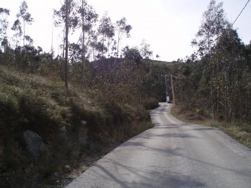 asfalto en la caretera de Angustina