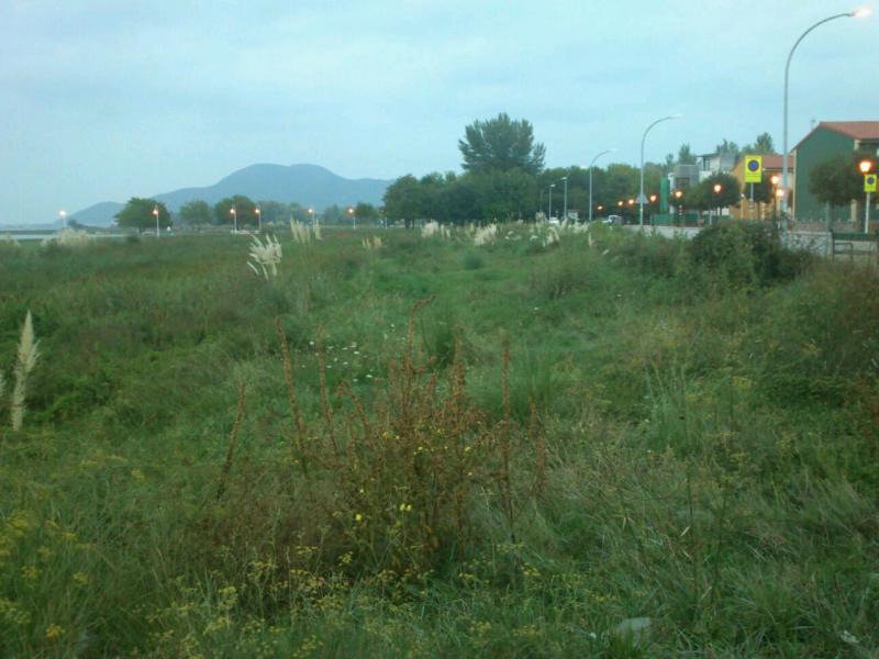 Estado de una de las fincas en la calle Ría del Asón
