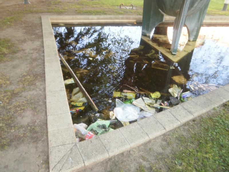 Estado de la charca de la fuente de la Alameduca