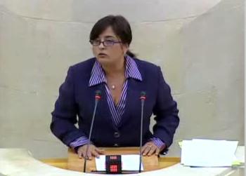 La diputada Alodia Blanco durante su intervenci?n ante el Pleno del Parlamento