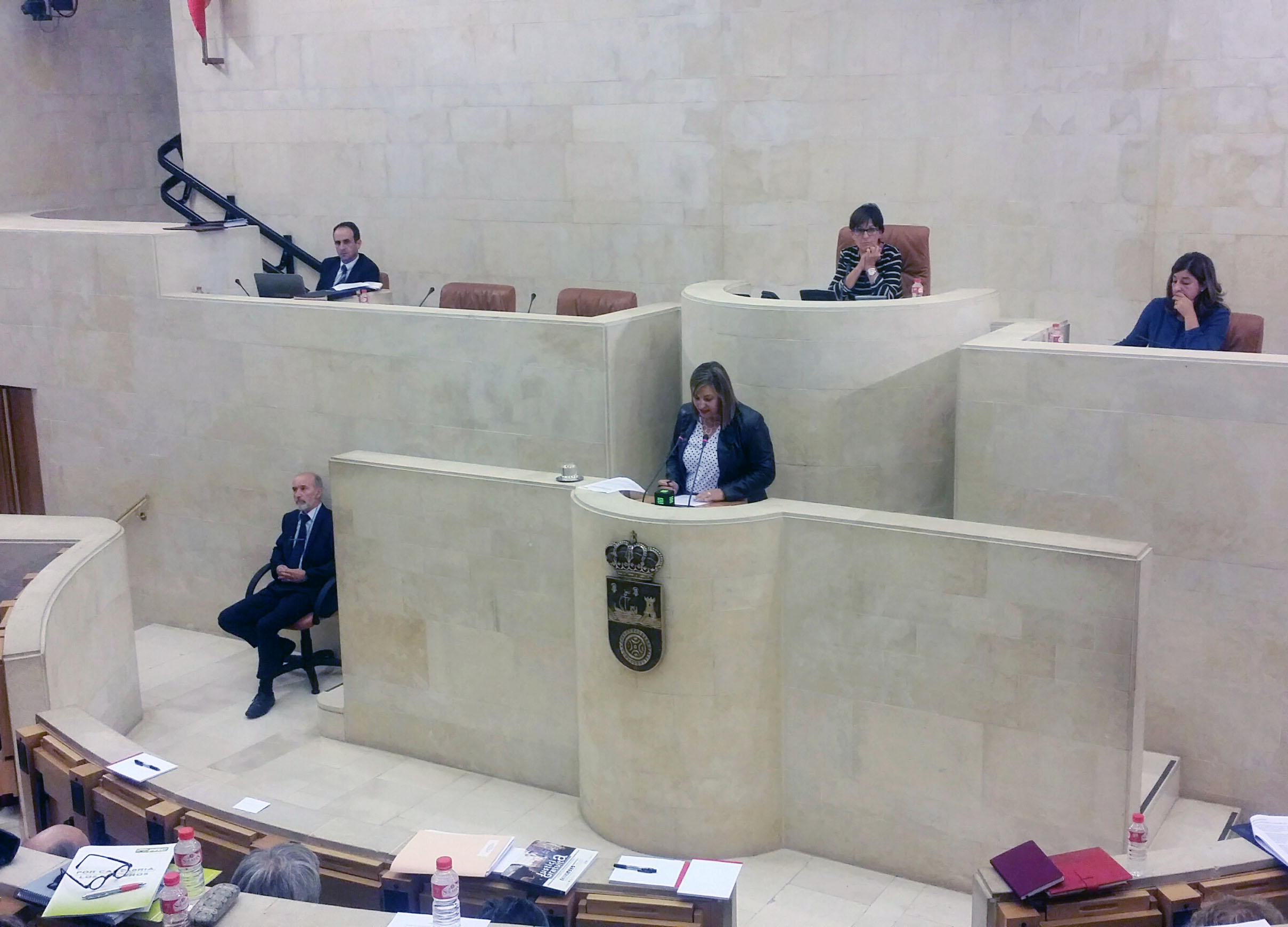 Rosa Valdés durante su intervención hoy en el Pleno de del Parlamento.