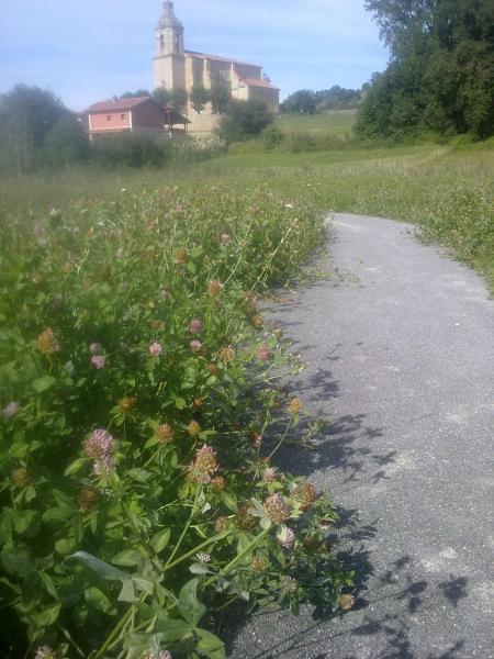 Parque ambiental "El Tintero", abandonado a la suerte de ovejas y cabras
