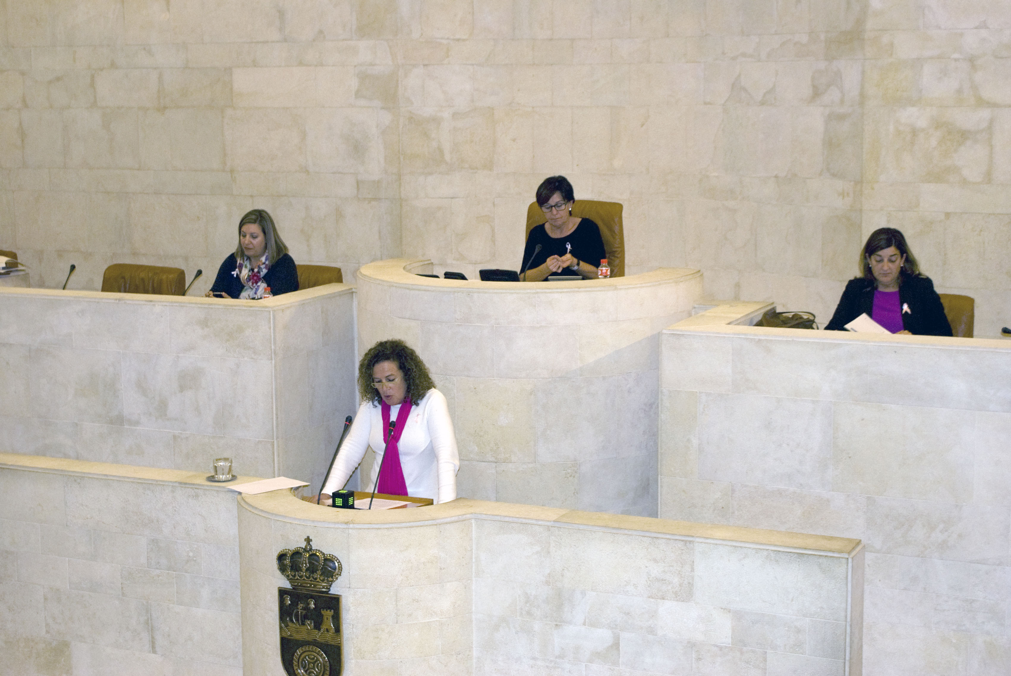 Intervención de María de Teresa Noceda en una sesión plenaria.