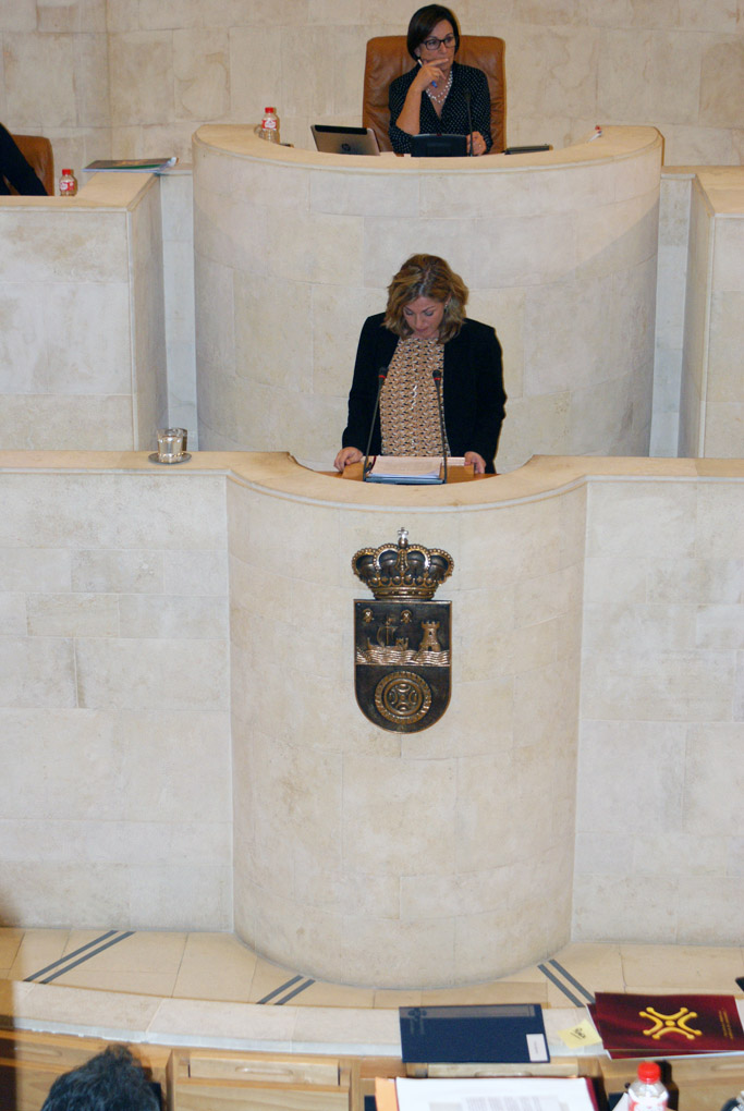 Rosa Díaz durante su intervención en el Pleno de hoy.