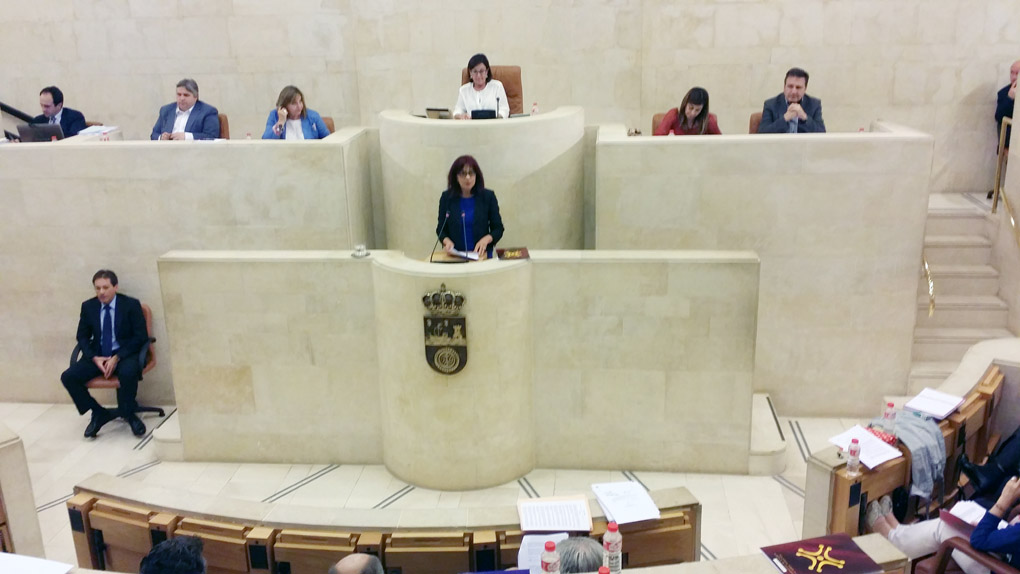 Matilde Ruiz durante la intervención en el pleno de hoy.