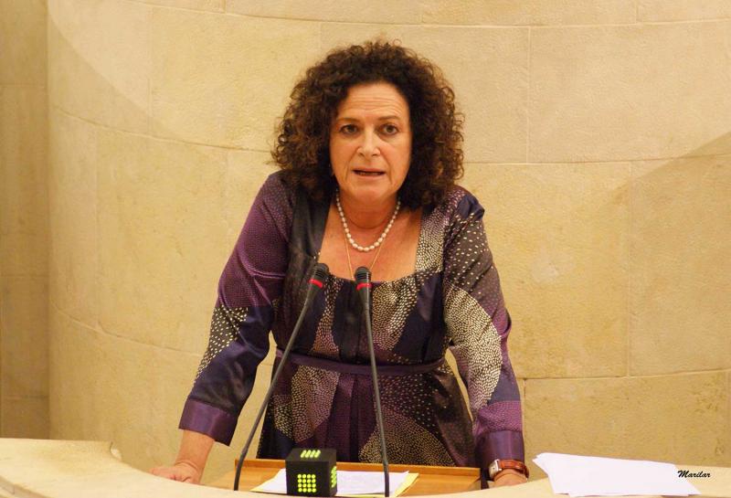 Mar?a Teresa Noceda durante su intervenci?n ante el Pleno del Parlamento