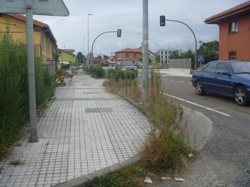 Muestra del abandono de las zonas ajardinadas de Polanco