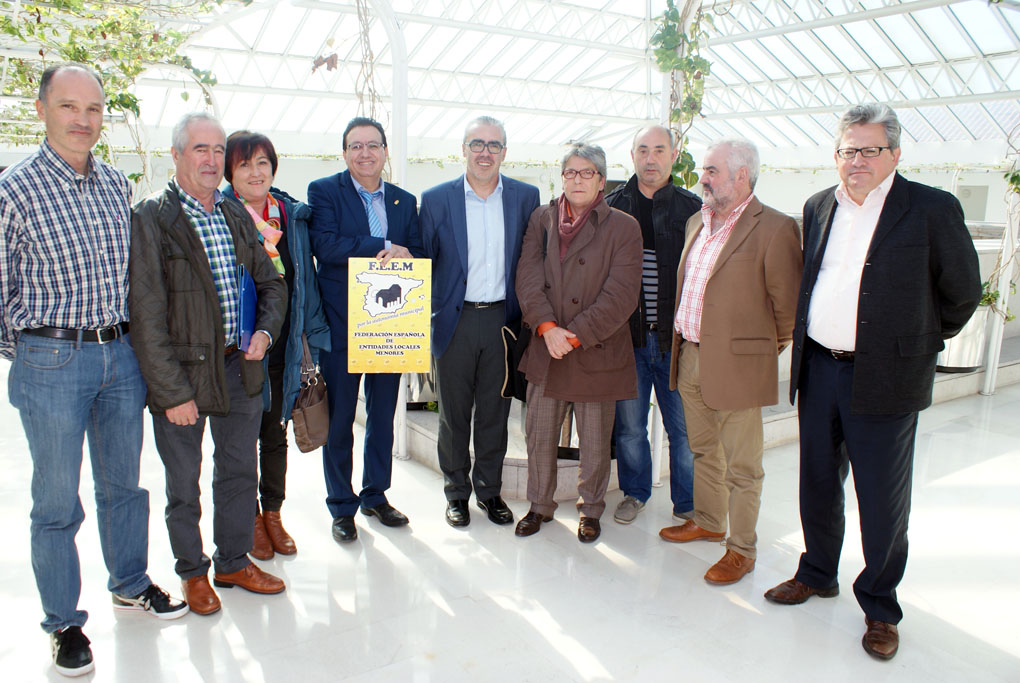 Pedro Hernando, quinto por la derecha, junto a los representantes de la Federación Española de Entidades Locales Menores.