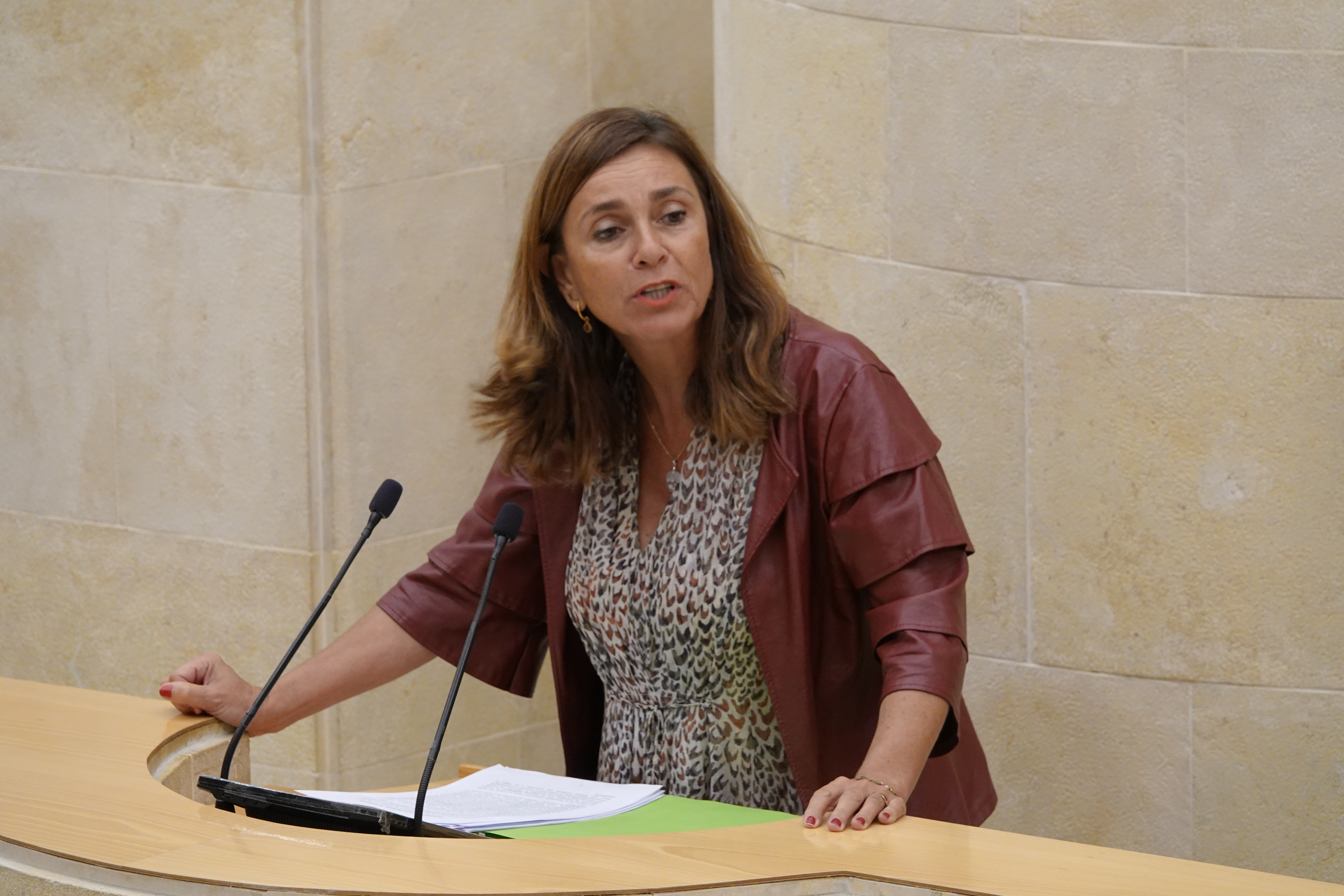 La diputada regionalista Paula Fernández Viaña