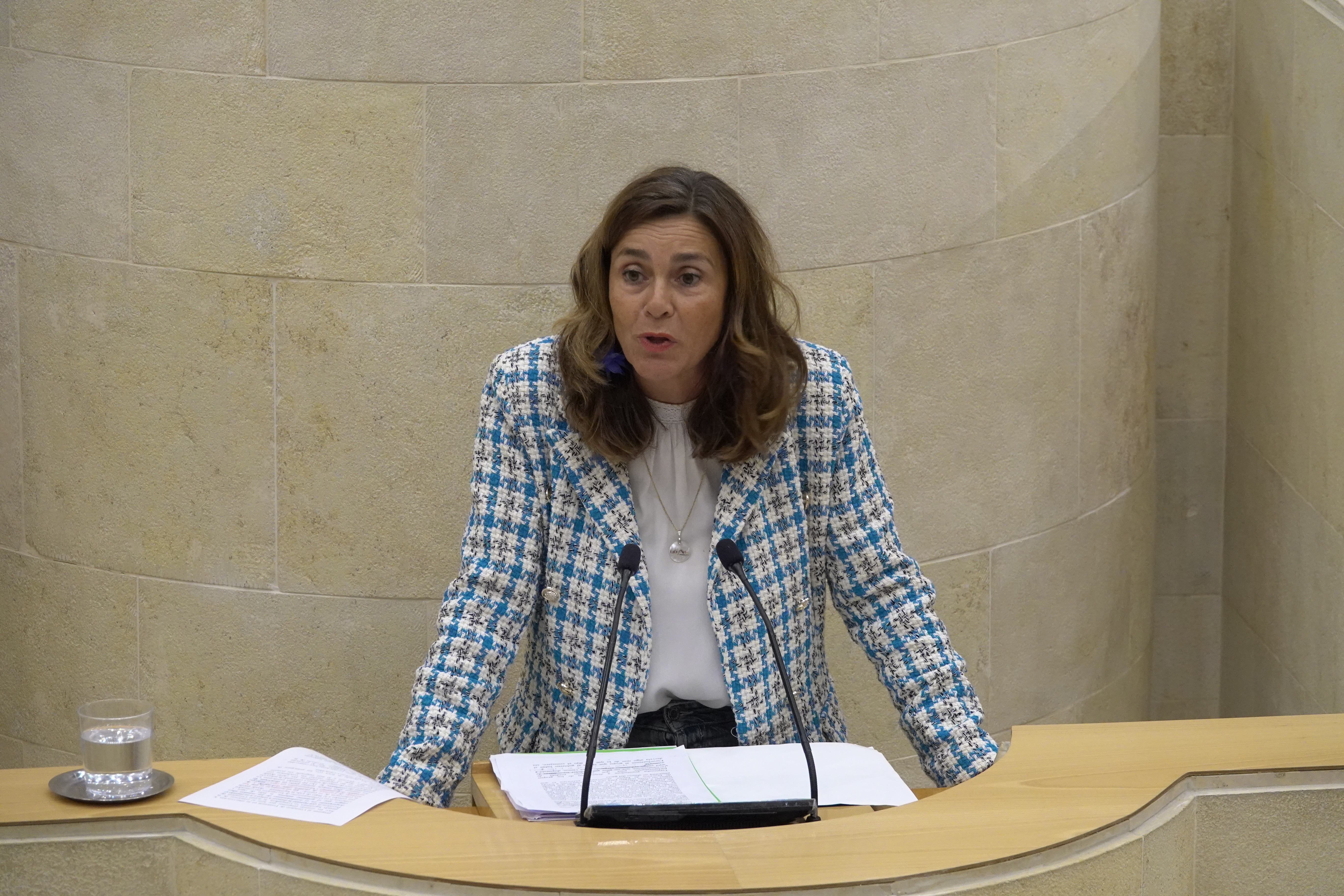 La diputada del PRC Paula Fernández