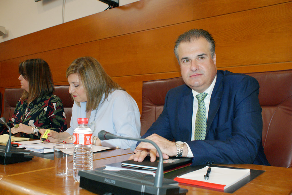 Francisco Ortiz, portavoz regionalista en la Comisión de Investigación Ecomasa-Nestor Martin