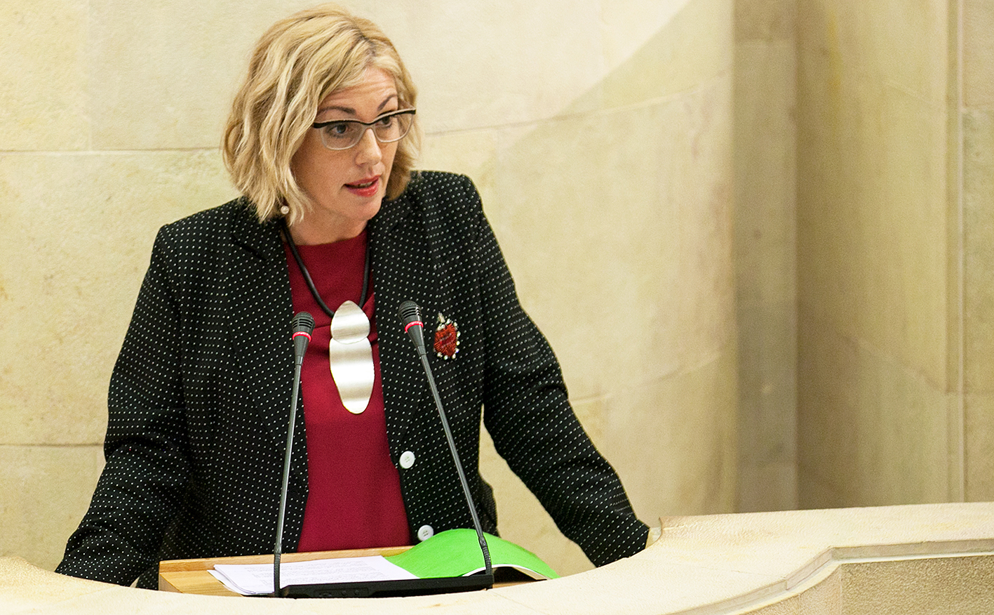 Rosa Díaz diputada regionalista durante su intervención en el Pleno de hoy.
