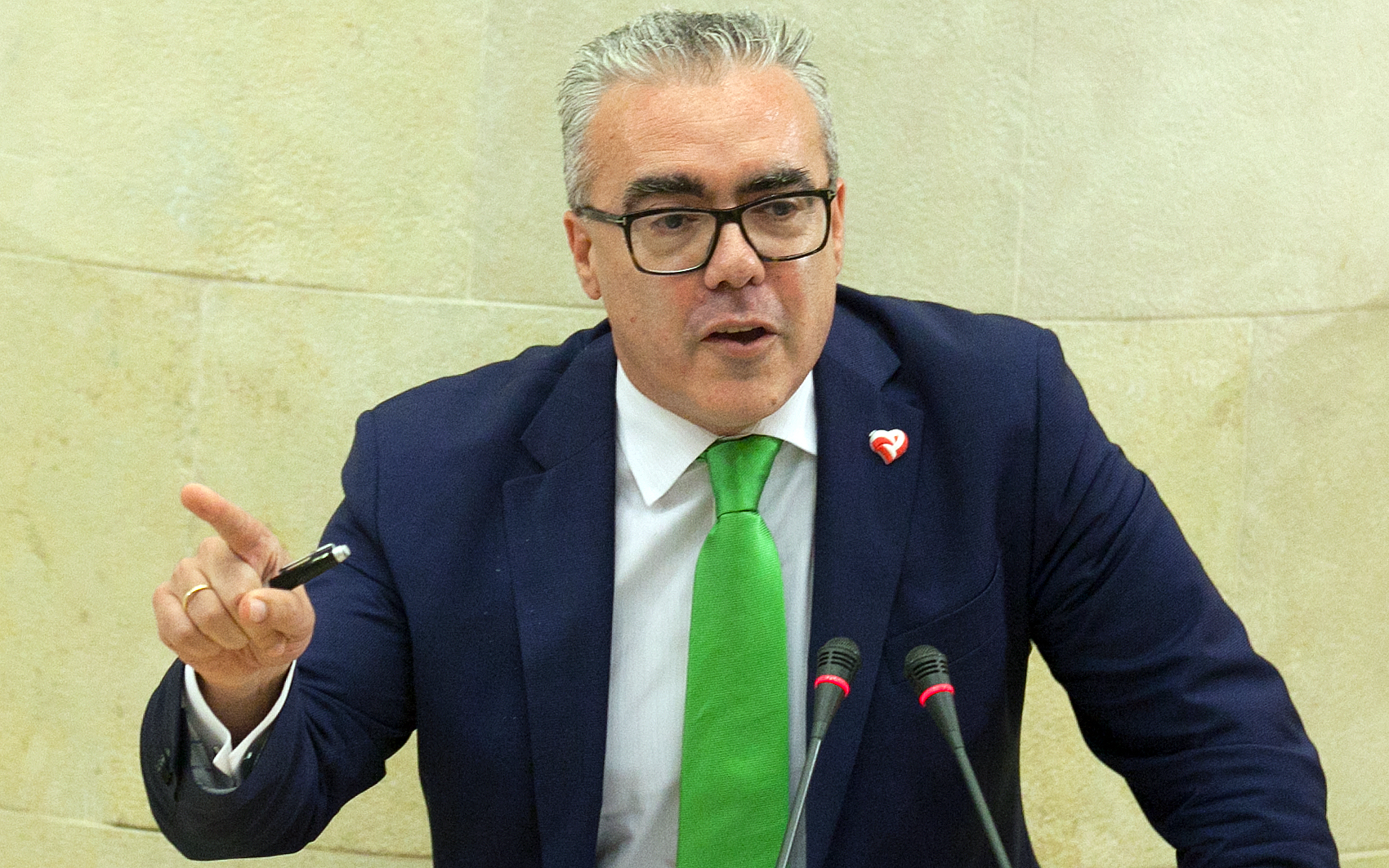Pedro Hernando, portavoz del Grupo Parlamentario Regionalista.