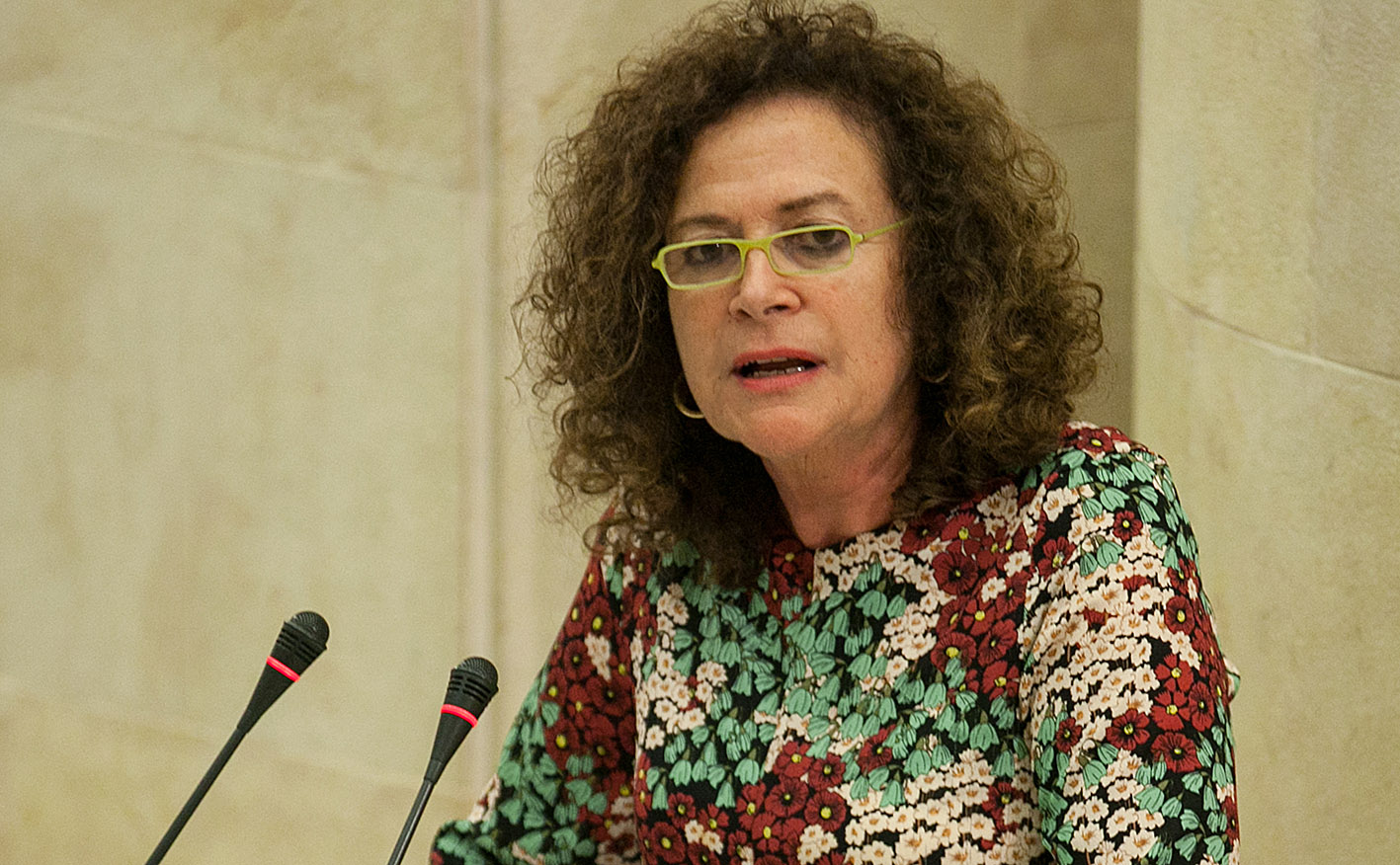 María Teresa Noceda, diputada del Grupo Regionalista.