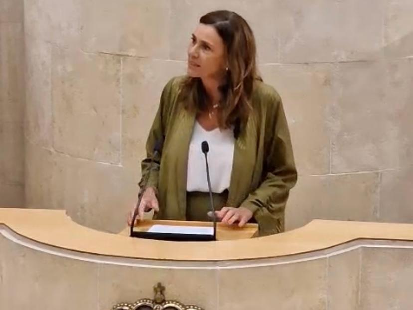 La diputada del PRC Paula Fernández