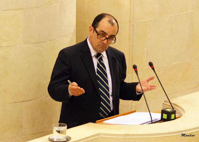 Rafael P?rez Tezanos durante su intervenci?n en el Pleno del Parlamento