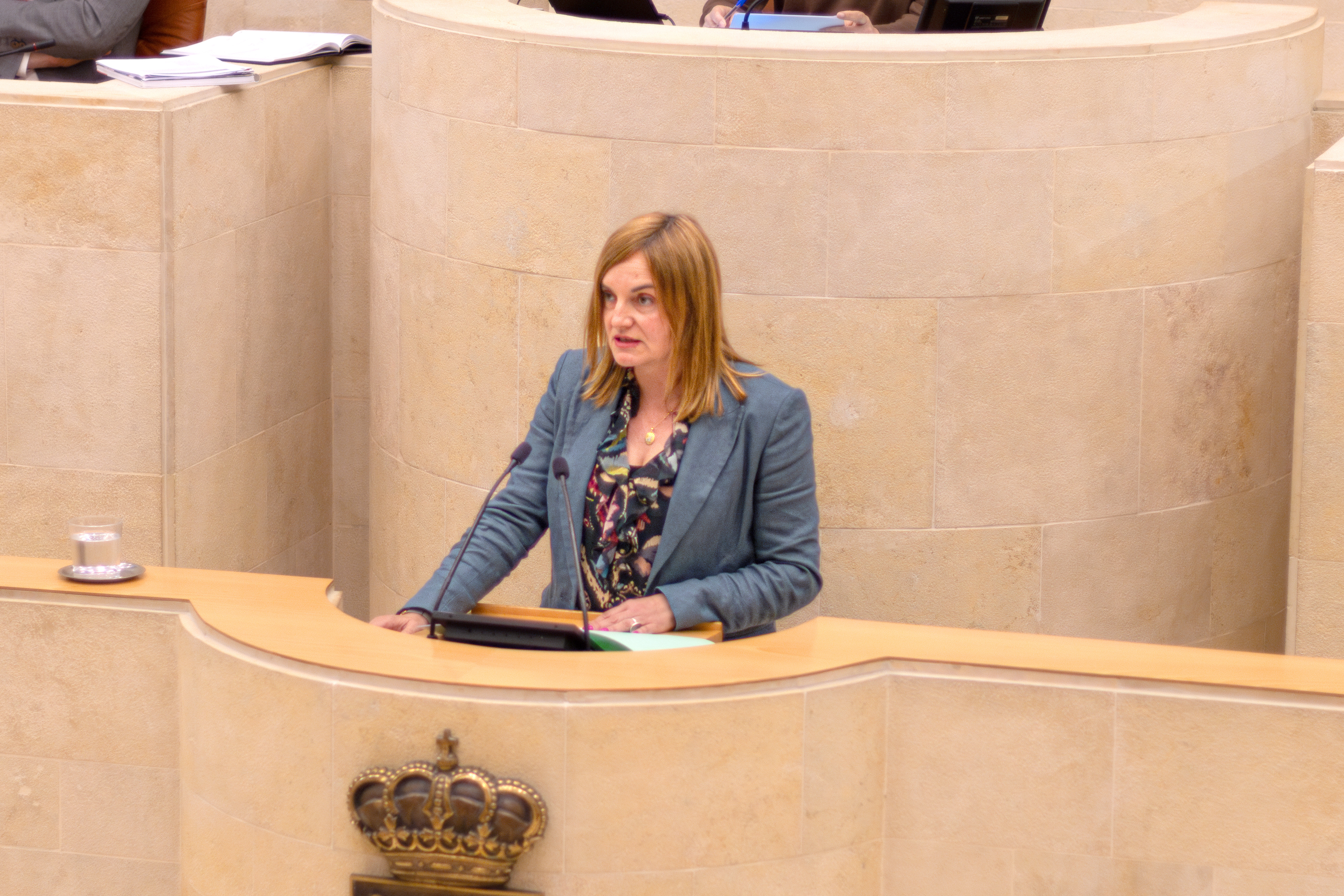La diputada regionalista Ana Obregón en el Pleno del Parlamento