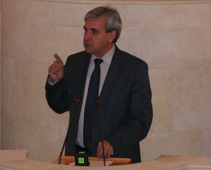 Rafael de la Sierra durante su intervenci?n en el pleno