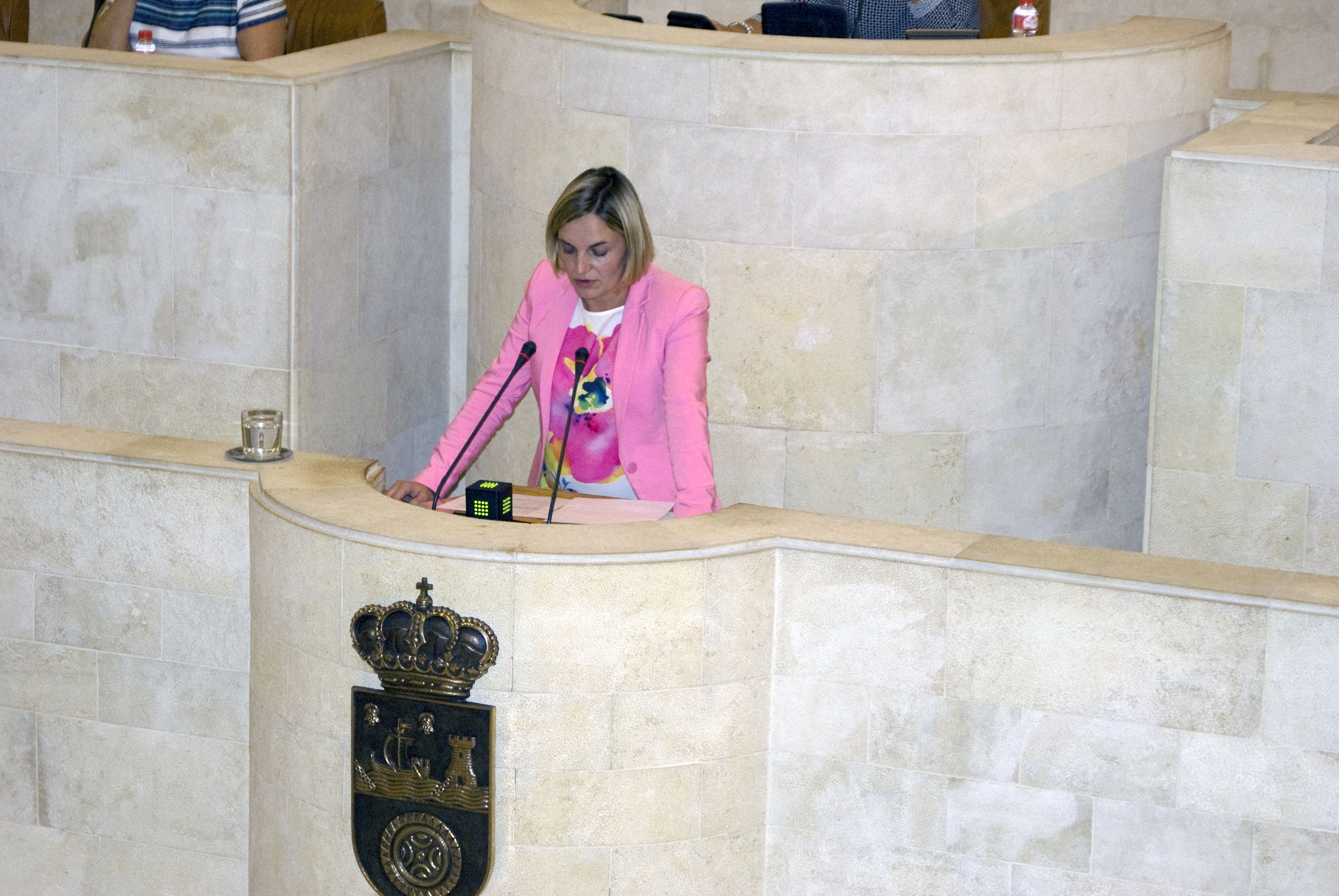 Ana Obregón durante una intervención en el Parlamento.