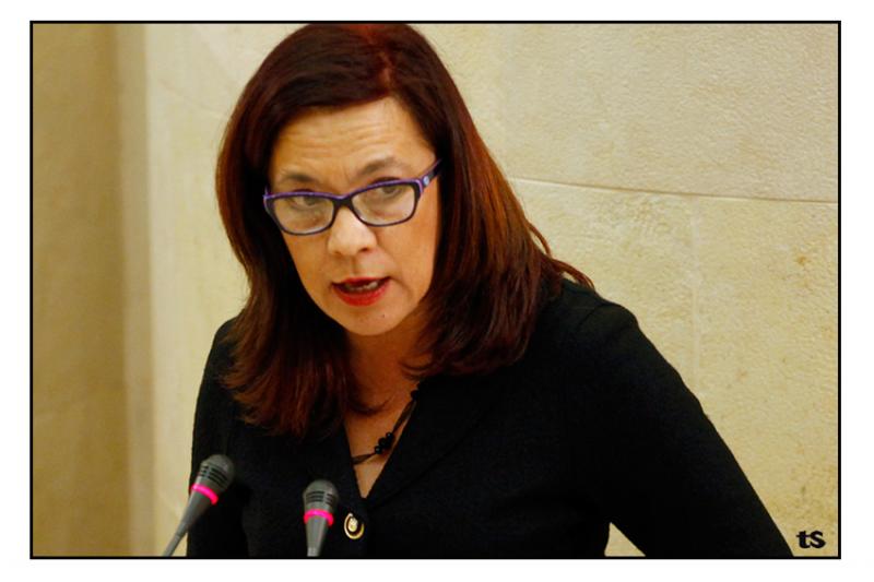 Matilde Ruiz durante una intervenci?n en el Pleno del Parlamento (Foto: TOM?S BLANCO)