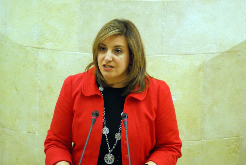 Rosa Vald?s durante su intervenci?n en el Pleno del Parlamento defendiendo el software libre