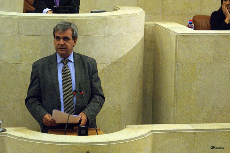 Rafael de la Sierra, durante su intervenci?n ante el Pleno