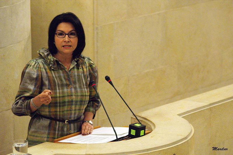 Eva Bartolom? expone la postura del Grupo Regionalista sobre el concurso de la TDT en el Pleno del Parlamento