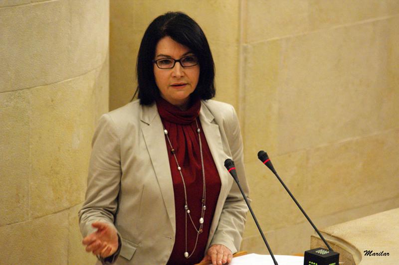 Eva Bartolom? interviene ante el Pleno del Parlamento