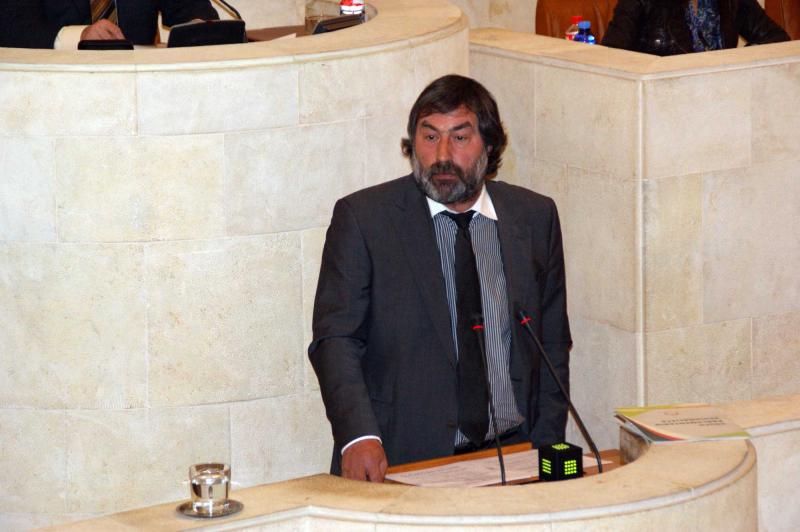 Fernando Fern?ndez durante su intervenci?n en el Pleno del Parlamento