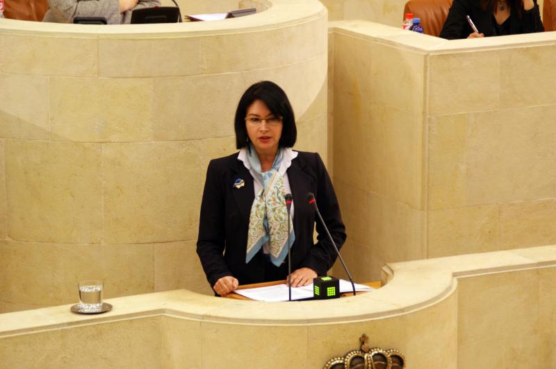 Eva Bartolom? durante su intervenci?n ante el Pleno de la C?mara