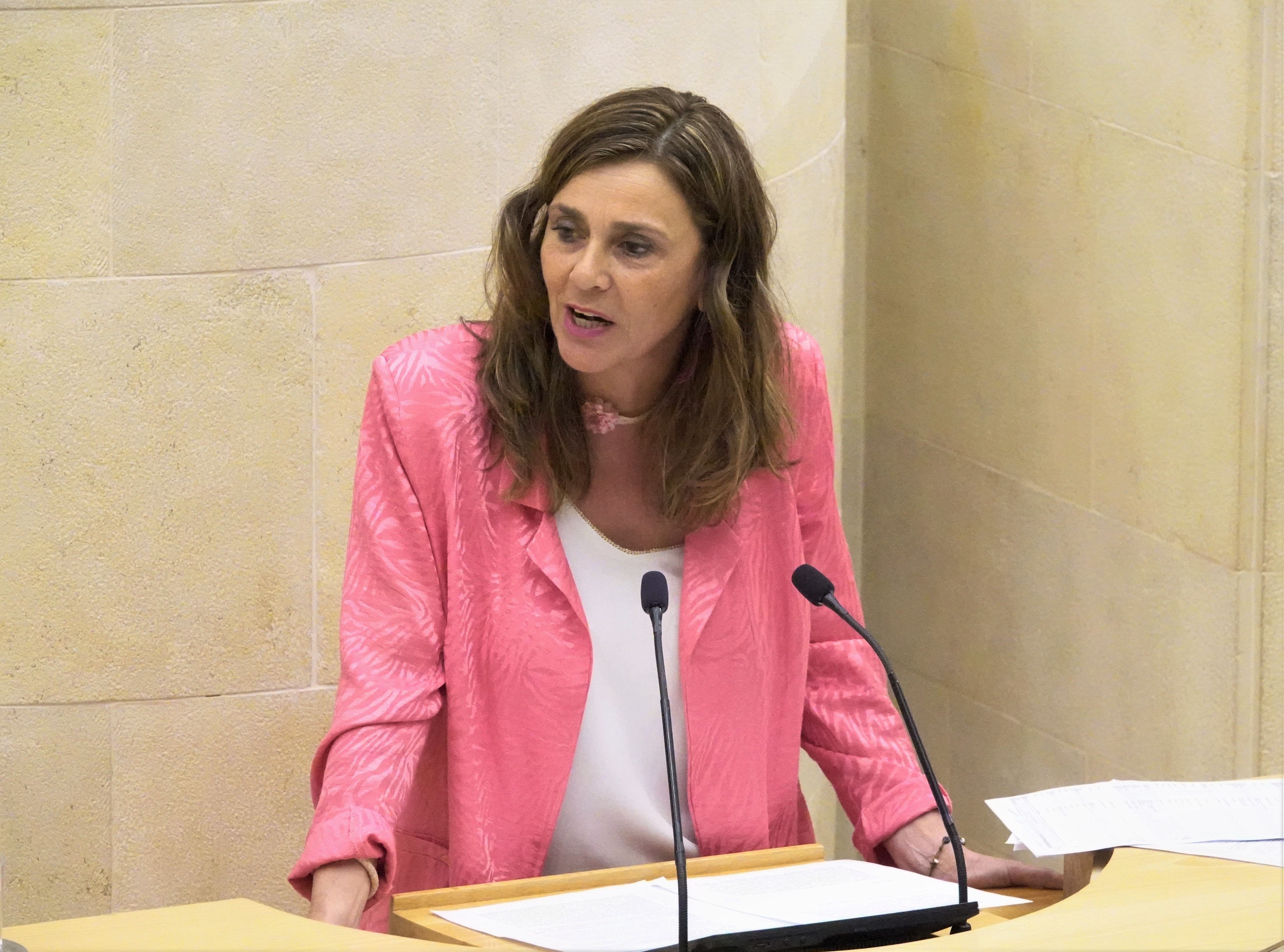 La diputada del PRC Paula Fernández