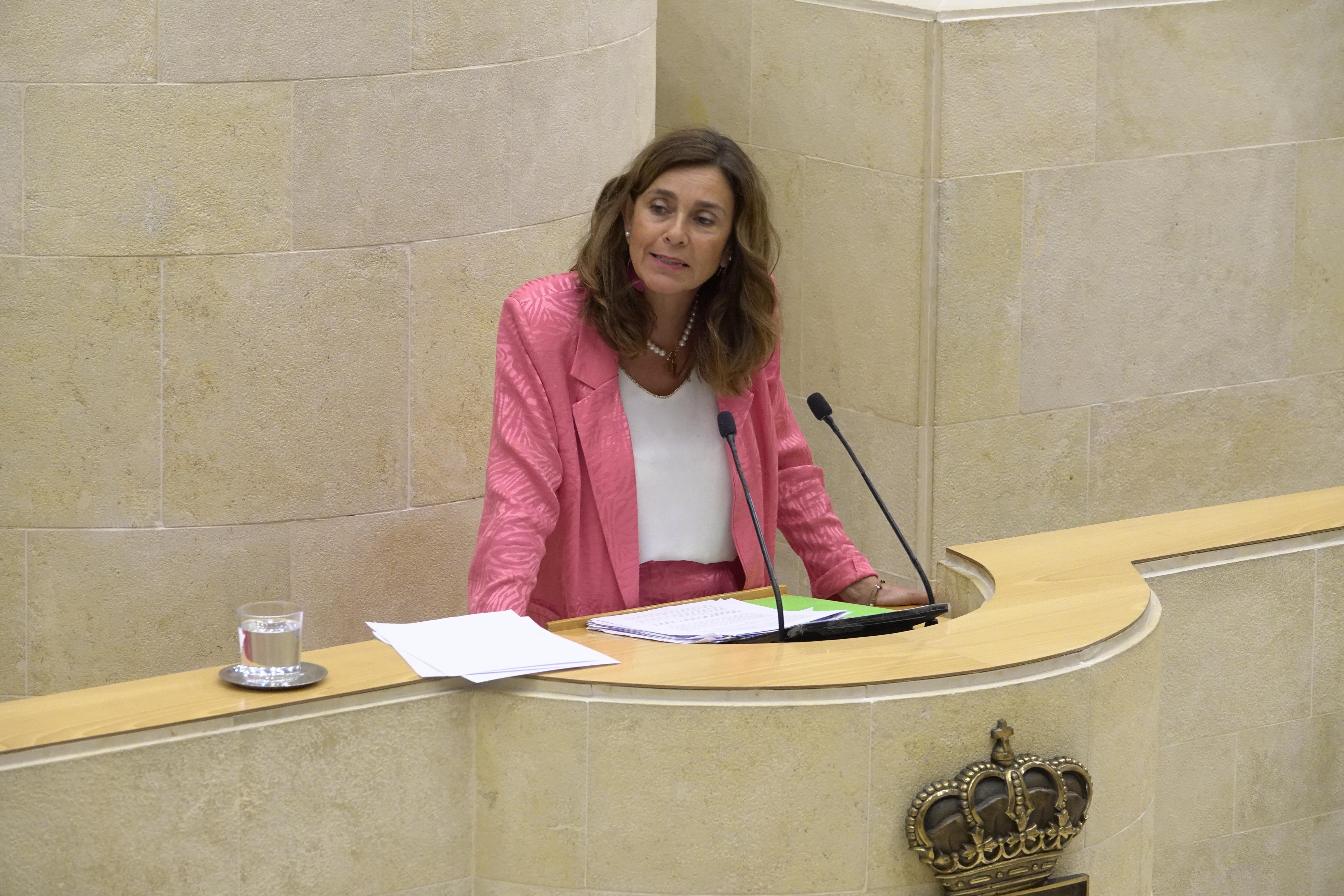 La diputada del PRC Paula Fernández