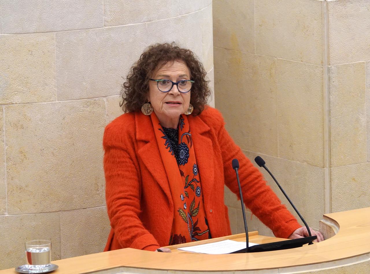La diputada del PRC Teresa Noceda