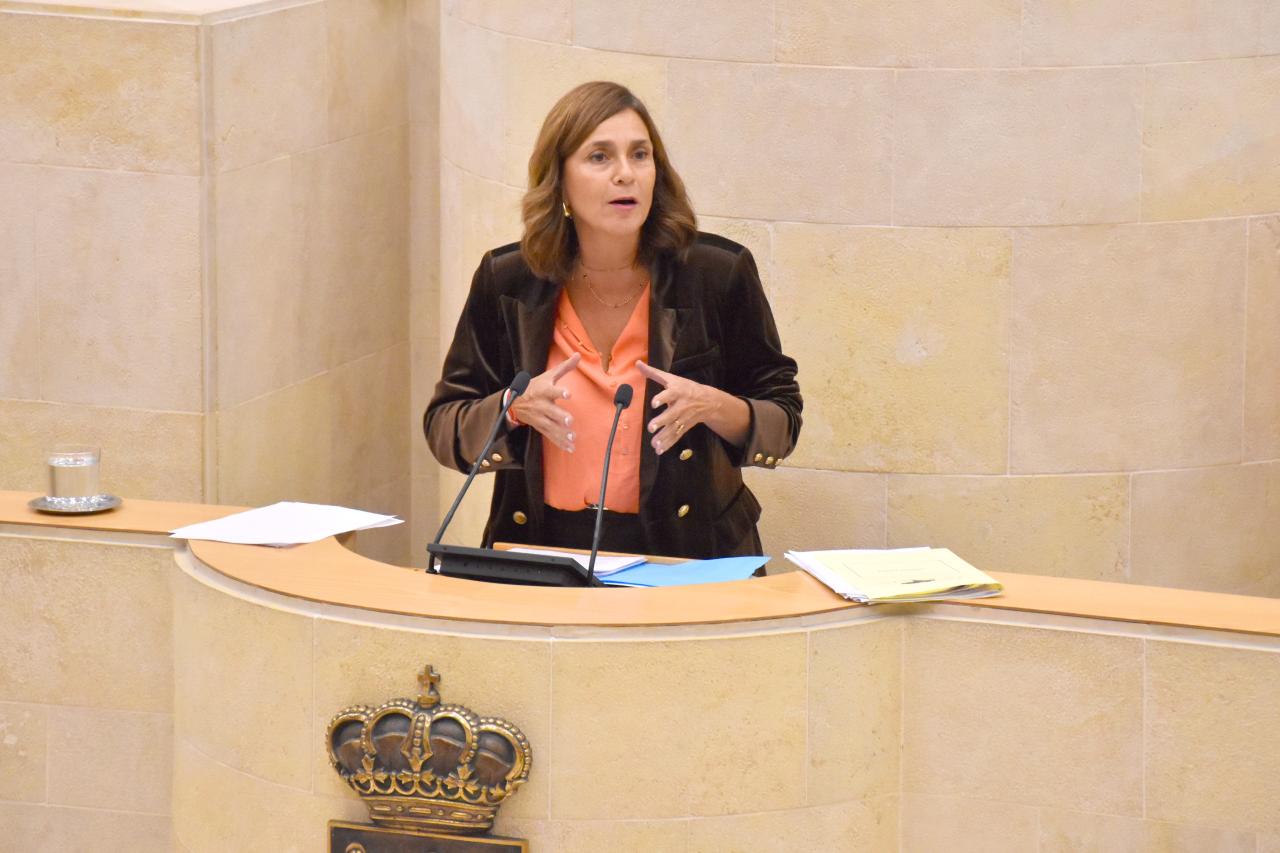 La candidata del PRC a la Presidencia de Cantabria, Paula Fernández Viaña, interviene en el Parlamento de Cantabria.